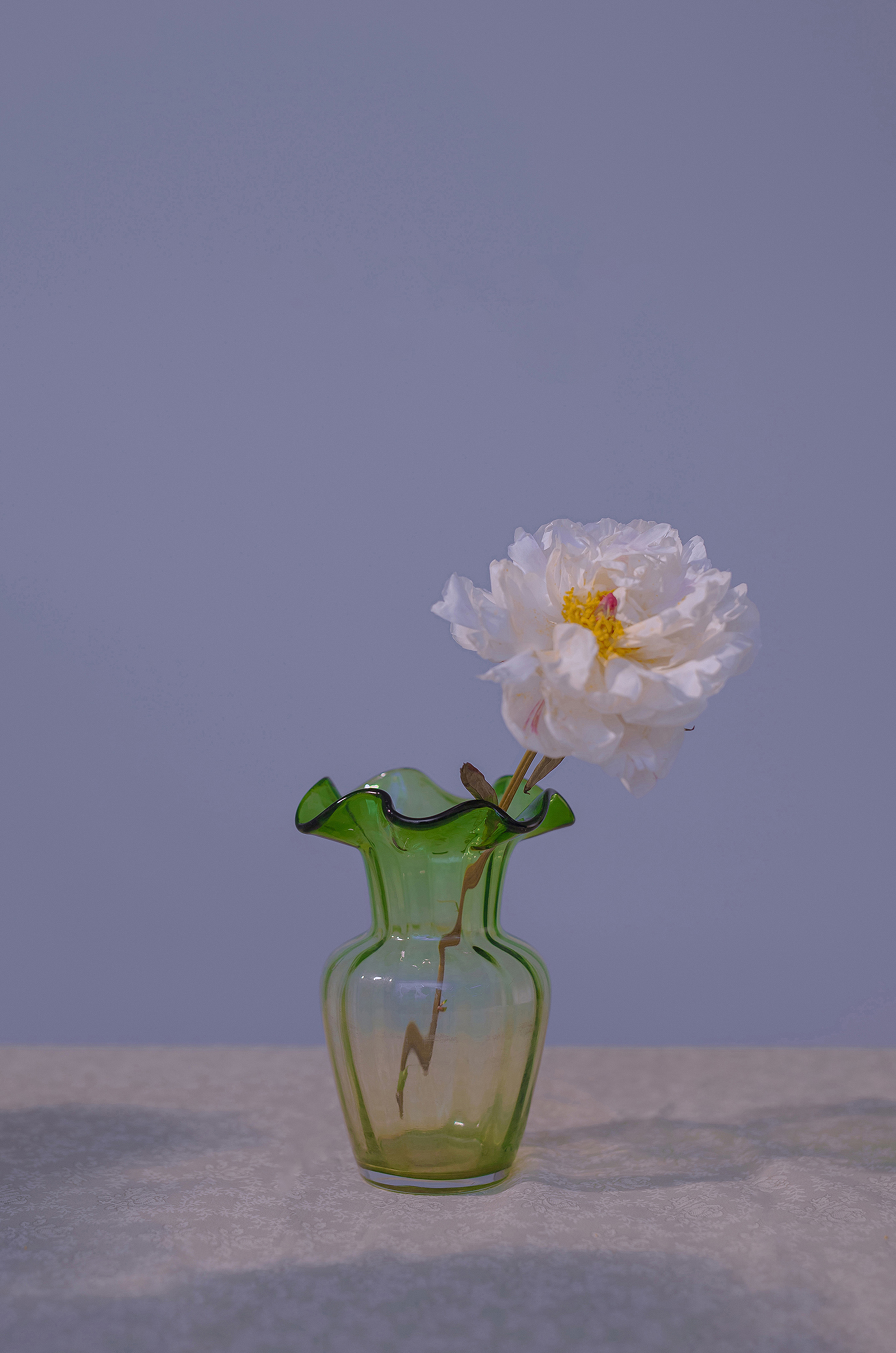 蜘蛛池在泛解析中的实战价值