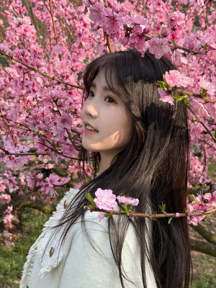 探云手app做任务不给提现怎么解决