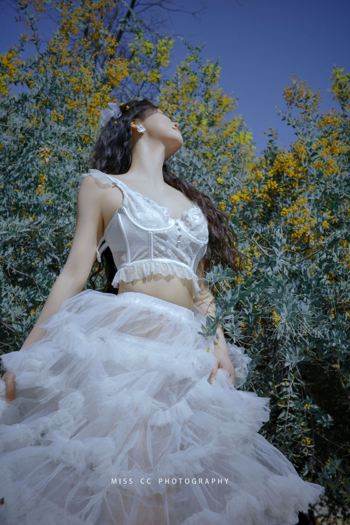 利用蜘蛛池进行微站点批量上线方案