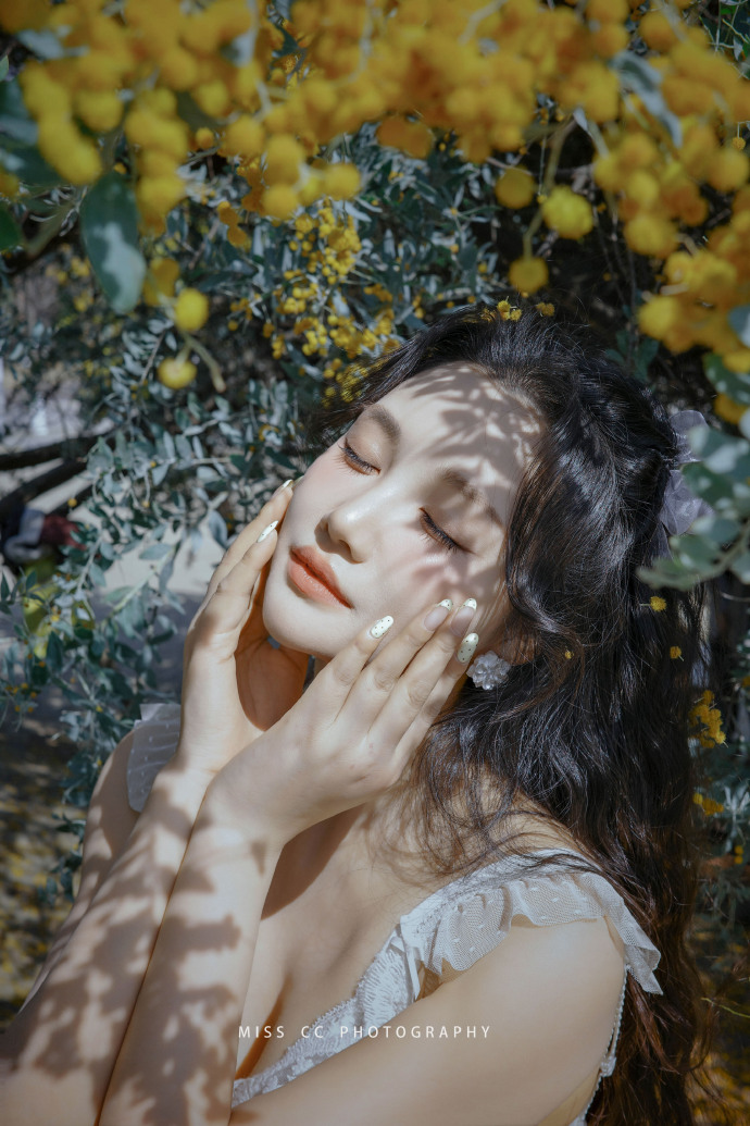 蜘蛛池中的IP地址轮换策略