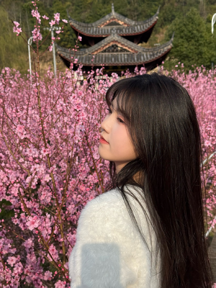 蜘蛛池访问异常的识别与响应策略