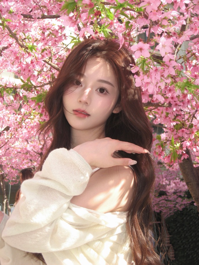 蜘蛛池与网站架构优化的配合