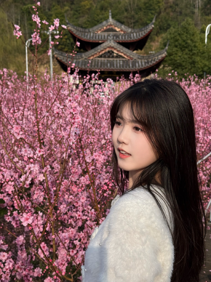 蜘蛛池在自动化站群系统中的角色