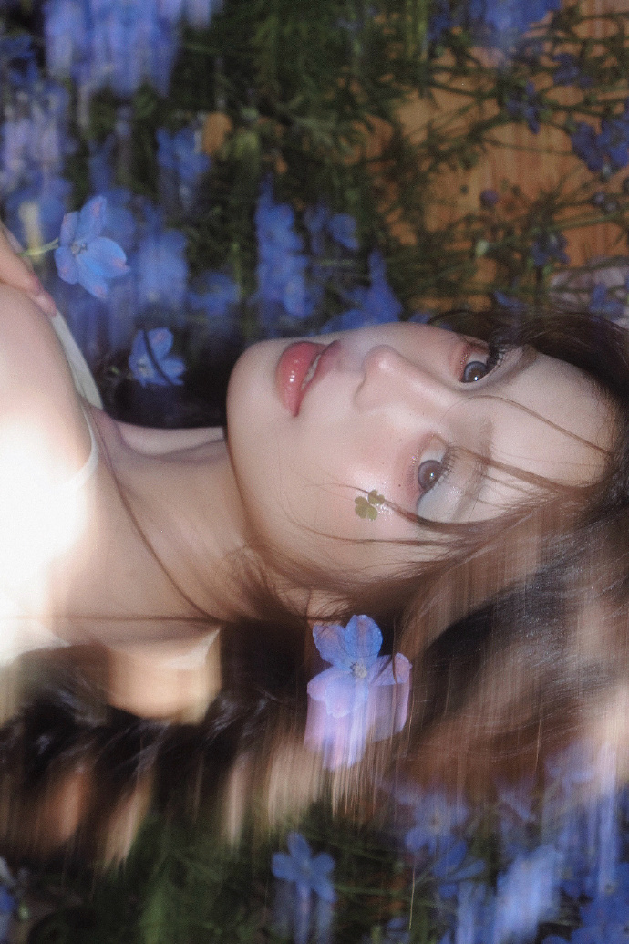 蜘蛛池与网站架构优化的配合