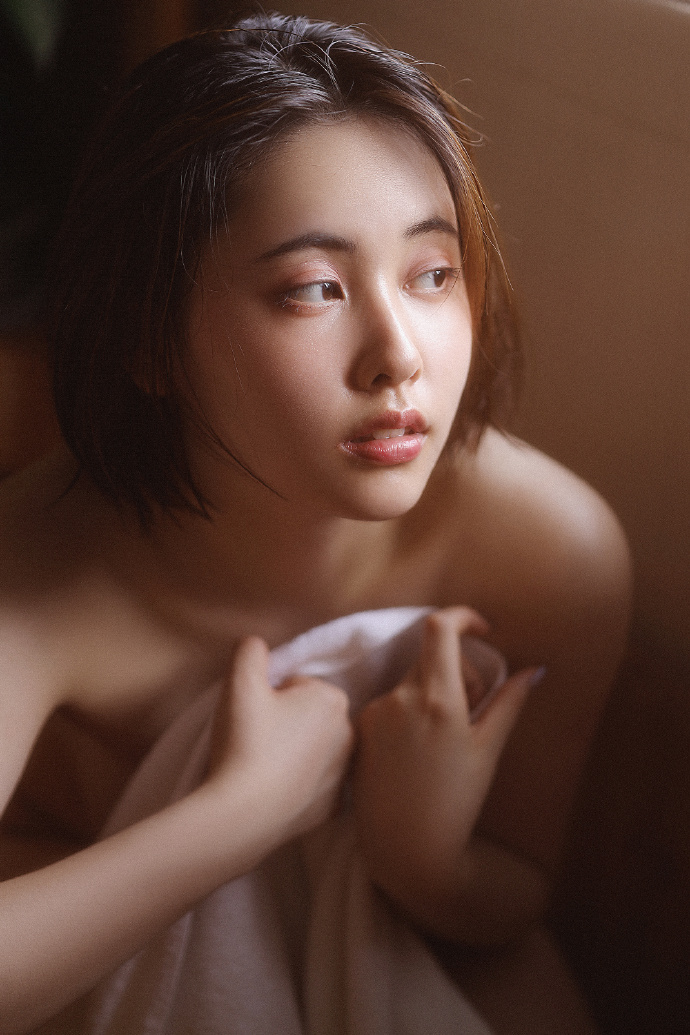 蜘蛛池中的IP地址轮换策略