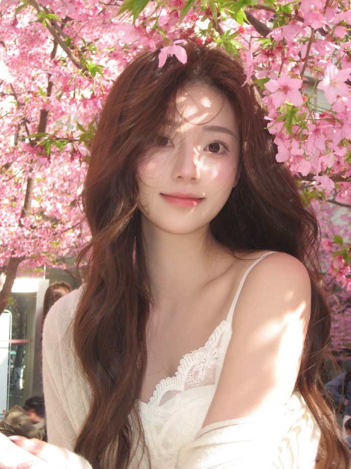 蜘蛛池与网站架构优化的配合