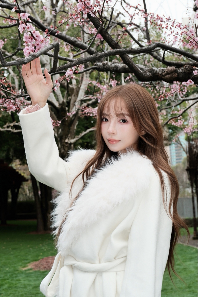 蜘蛛池与网站架构优化的配合