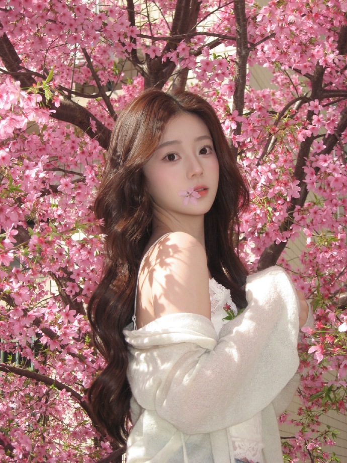 如何用蜘蛛池推送页面结构变更？