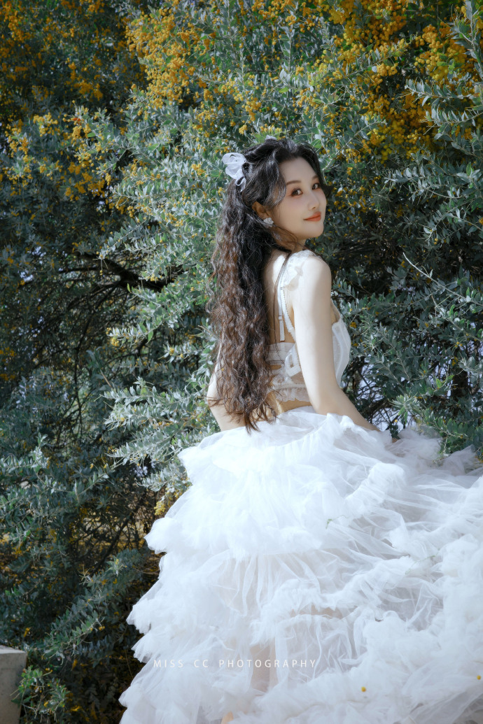 蜘蛛池访问日志的深度分析