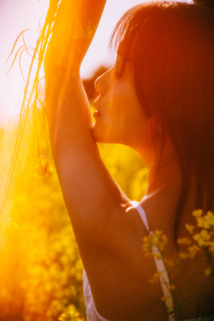 蜘蛛池的分布式架构实现方案