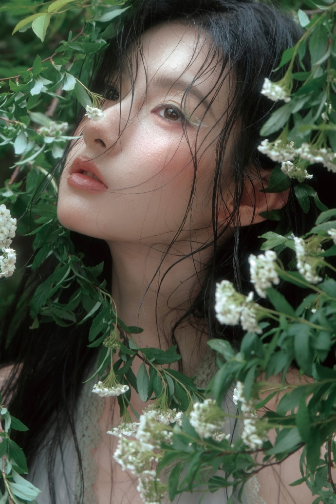 蜘蛛池和Schema结构化数据的配合