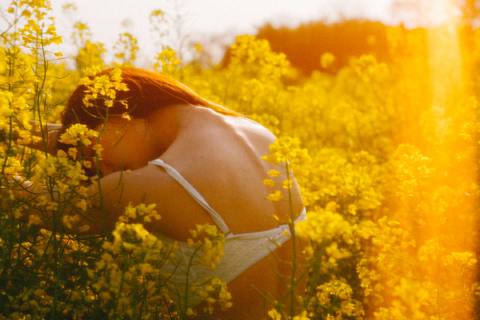蜘蛛池中的IP地址轮换策略
